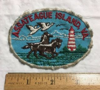 Assateague Island Virginia Va Maryland Lighthouse Wild Horses Souvenir Patch