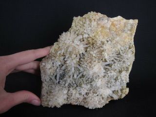 Large Australian Dog Tooth Calcite Plate