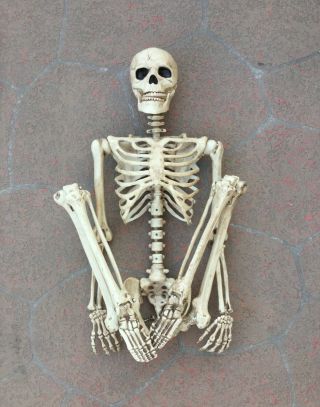 5 Ft Halloween Poseable Human Skeleton Party Decoration Prop Full Body Life Size