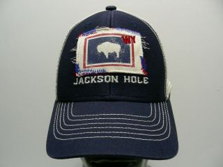 Jackson Hole,  Wyoming - State Flag Logo - Youth Size Snapback Ball Cap Hat