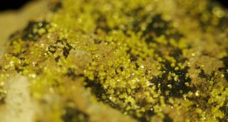 Tyuyamunite Rare Uranium Mineral Micro - Crystals On Matrix Butler Mine,  Utah