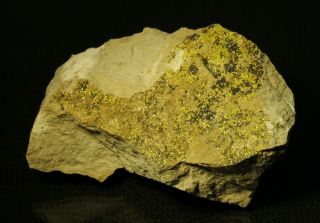 Tyuyamunite rare uranium mineral micro - crystals on matrix Butler Mine,  Utah 2