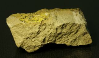 Tyuyamunite rare uranium mineral micro - crystals on matrix Butler Mine,  Utah 3
