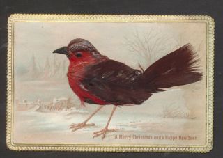 C5724 Victorian 3d Goodall Xmas Card: Wax Bird With Real Feathers