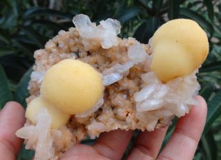 thomsonite balls on heulandite stilbite Crystals & MINERALS SPECIMEN G - 1 5
