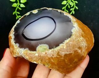 679g Rare Natural Polished Enhydro Moving Bubble Agate Crystal Stone