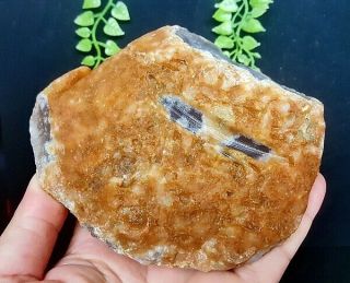 679g Rare Natural Polished Enhydro Moving Bubble Agate Crystal Stone 4