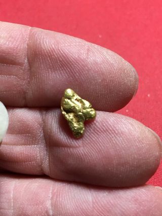 Natural Gold Nugget Specimen Bullion Placer So.  Oregon Rogue River 1.  06 Grams A2