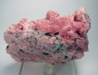 Rhodochrosite Pink Cubic Crystals On Matrix From PerÚ. .  Manuelita Mine