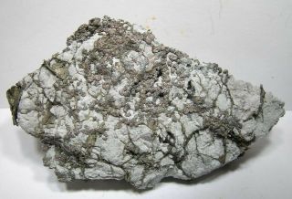 Killer Silver In Calcite Vein Section: Hellens - Eplett Mine Ontario,  Canada - Nr