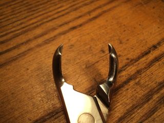 Vintage Sklar Stainless Dental Extractor Pliers Tool No.  215 - 7 