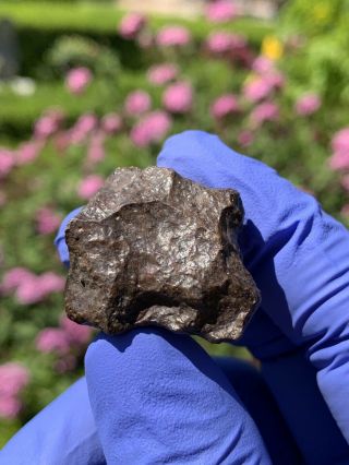 Meteorite Nwa,  Unclassified 22.  28 Grams,  Shape
