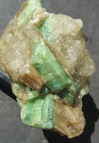 Green Tourmaline Crystals In Mica - Mt.  Mica - Paris Hill,  Maine