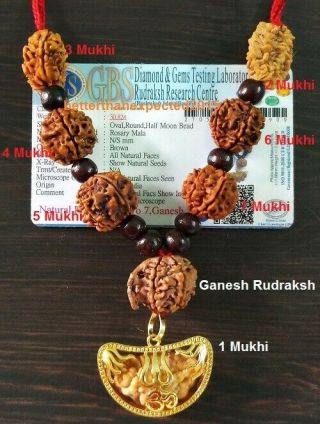 Rudraksha Rudraksh 1 2 3 4 5 6 7 Ganesh Mukhi Beads Mala Necklace Face Rosary R1