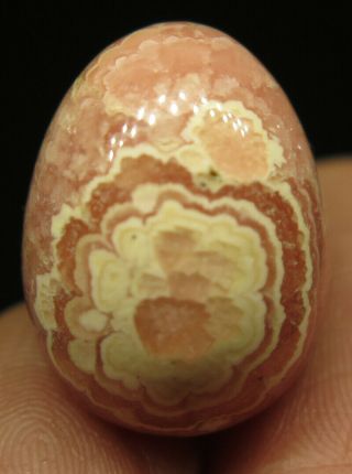 17mm 0.  2OZ NATURAL Pink Rhodochrosite Crystal Carving Egg from Argentina 2