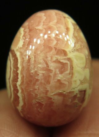 17mm 0.  2OZ NATURAL Pink Rhodochrosite Crystal Carving Egg from Argentina 3