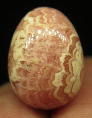 17mm 0.  2OZ NATURAL Pink Rhodochrosite Crystal Carving Egg from Argentina 5