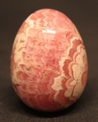 17mm 0.  2OZ NATURAL Pink Rhodochrosite Crystal Carving Egg from Argentina 8