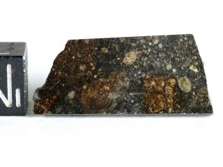 Meteorite Nwa 11436 - Rumuruti R3 - 6 (s3/w - Low) - Best Polished Slice 2.  43g
