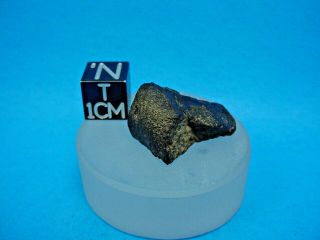 1998 Aug.  4 Or 5,  Zag H3 - 6 Chondrite Meteorite,  Western Sahara,  6.  7 Grams