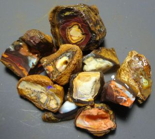 Lapidary: 543.  6 Carat Parcel Of Natural Yowah Nuts.  Boulder Opal Rough Specimens