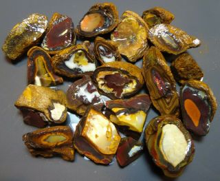 Lapidary: 1430 Carat Parcel Of Natural Yowah Nuts.  Boulder Opal Rough Specimens
