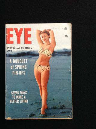Risque Magazines,  Three Pulp type paperback with a bonus book (1950s) 3