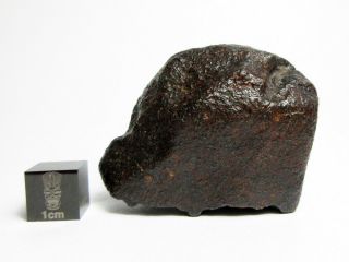 Nwa X Meteorite 90.  95g Superbly Shaped Stony Space Rock