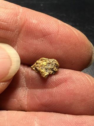 Natural Gold Nugget Specimen With Quartz Rock Bullion From Oregon 1.  02 Gram A32