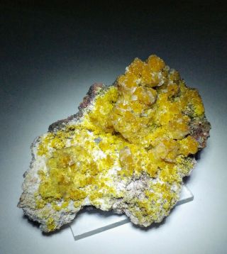 Sweet - Sparkling Yellow Mimetite Crystals W/calcite On Matrix,  Mine Mexico