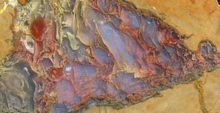 Rock Slab Priday Plume Agate - Splendid Plume Material
