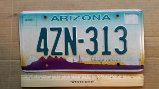 License Plate,  Arizona,  Sunset,  Saguaro Cacti,  Grand Canyon St8,  4 Zn (taxi) 313