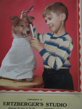 OLD Calendar Print/Boy Dog Haircut Scissors/1960 Ertzberger ' s Martin GA Georgia 2