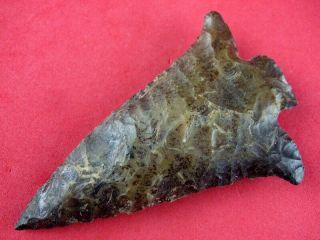 Fine Quality Authentic 3 1/4 Inch South Georgia Abbey Point Indian Arrowheads