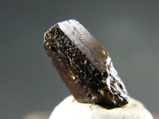 Very Rare Painite Crystal From Asia - 1.  70 Carats