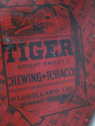 Vintage Tiger Sweet Chewing Tobacco Lithographed Lunchbox Style Tin
