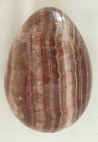 Fabulous Polished Stone Egg Looks Like Petrified Wood