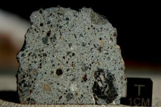 Nwa 8362 Hed Howardite Meteorite 6.  4 Gram Part Slice Of Rare Achondrite