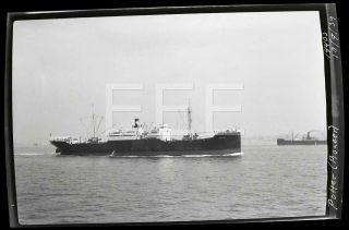 1939 Ss Potter Pioneer Ocean Liner Ship Old Photo Negative H97