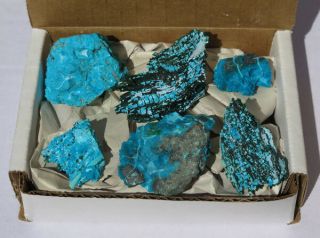 Natural Blue Chrysocolla With Malachite Crystal Mineral Specimen Set Of 6