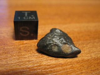 Meteorite Nwa 12551 - Unequilibrated Rumurutie Chondrite - R3