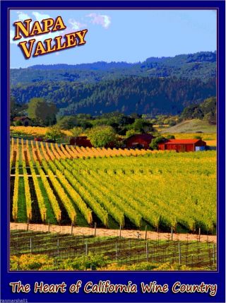 Napa Valley California Wine Country United States Travel Advertisement Poster 2