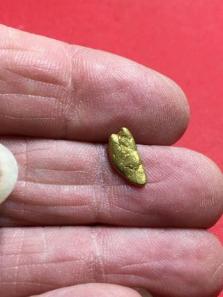 Natural Gold Nugget Specimen Bullion Placer So.  Oregon Rogue River 1.  07 Grams B2