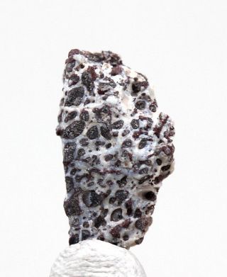 Fossilized Dinosaur Bone Fossil Fragment Crystal Agate Mineral Specimen Utah 2