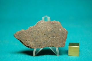 Markovka Rare Russian Meteorite 20.  8 Grams