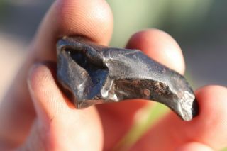 Sikhote Alin Meteorite individual 14.  8 grams 2