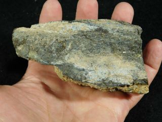 A Cut Jurassic Era Dinosaur Fossil With River Gravel Found In Utah 423gr E