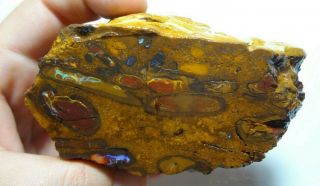 1675 Ct Natural Yowah Conglomerate Boulder Opal Rough Piece - Lapidary Specimen