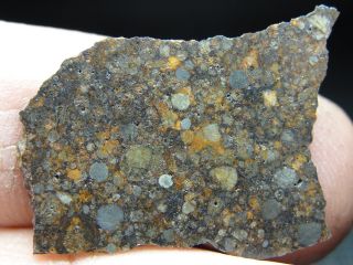 Nwa 10442 Official Meteorite - H3.  9 Type 3 Chondrite - G640 - 0059 - 2.  28g W/coa