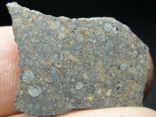 NWA 10442 Official Meteorite - H3.  9 Type 3 Chondrite - G640 - 0059 - 2.  28g w/COA 2
